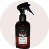 Homespray Aroma Coco
